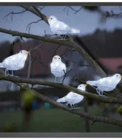 Konstsmide, guirlandes lumineuses de Noël Oiseaux Lumineux Et Animaux Lumineux|5 Oiseaux Lumineux A Led