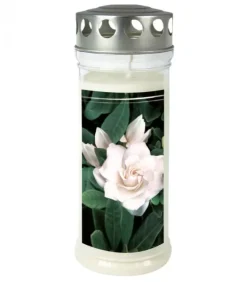 Ewa Kerzen, bougies de Noël et bougies de l'Avent Bougies Funéraires|Bougie Funeraire Gardenia, 21,5 Cm