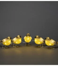 Konstsmide, guirlandes lumineuses de Noël Oiseaux Lumineux Et Animaux Lumineux|Oiseaux Lumineux Led En Acrylique, 5 Chardonnerets