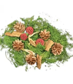 Riffelmacher et Weinberger Pot Pourri Senteurs Noël|Pot Pourri Melange Pomme De Pin, Mousse, Foret, 80 G